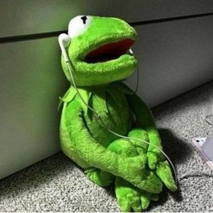 Meet your Posher, Ruchika